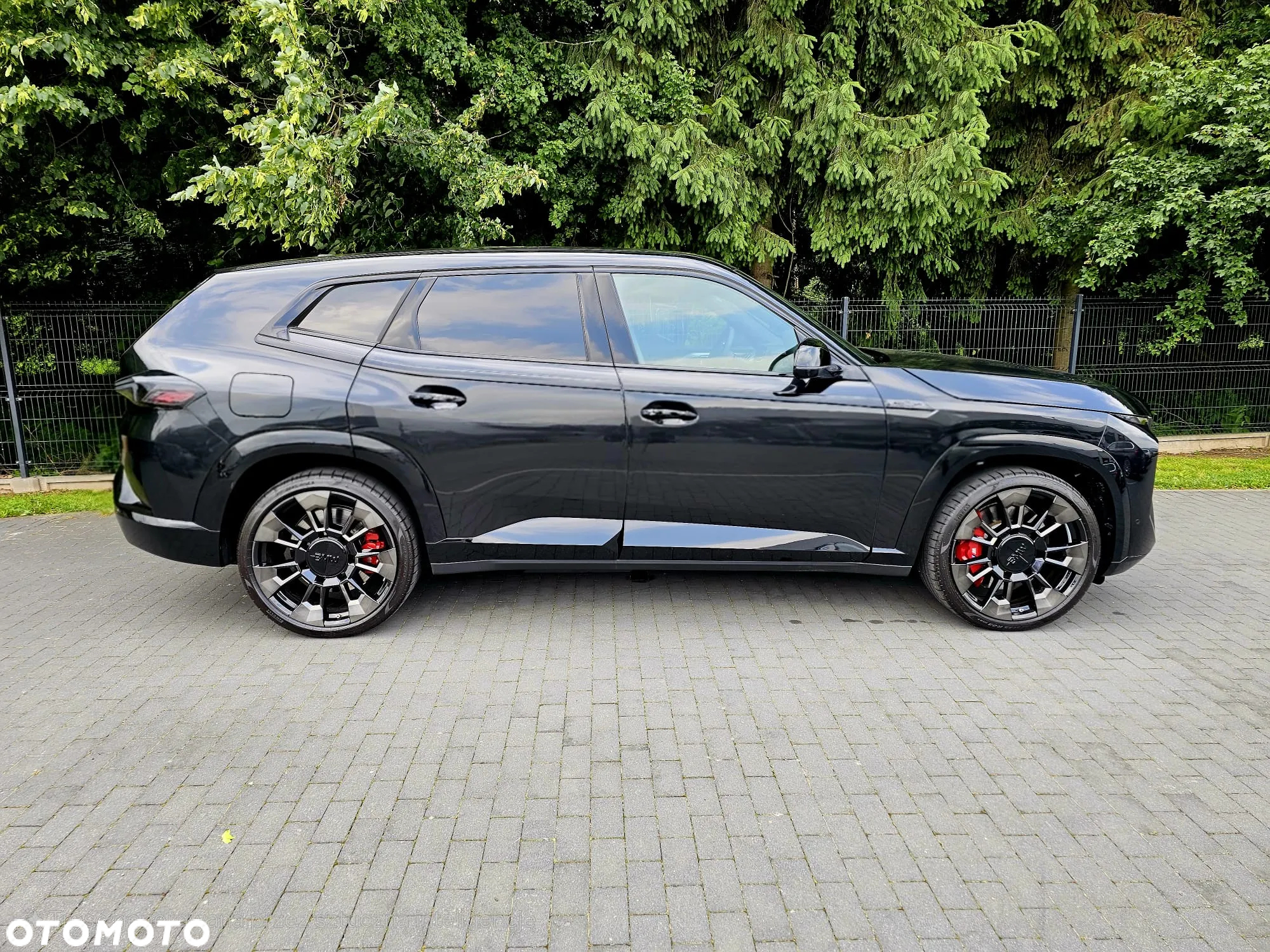 BMW XM 50e PHEV sport - 6
