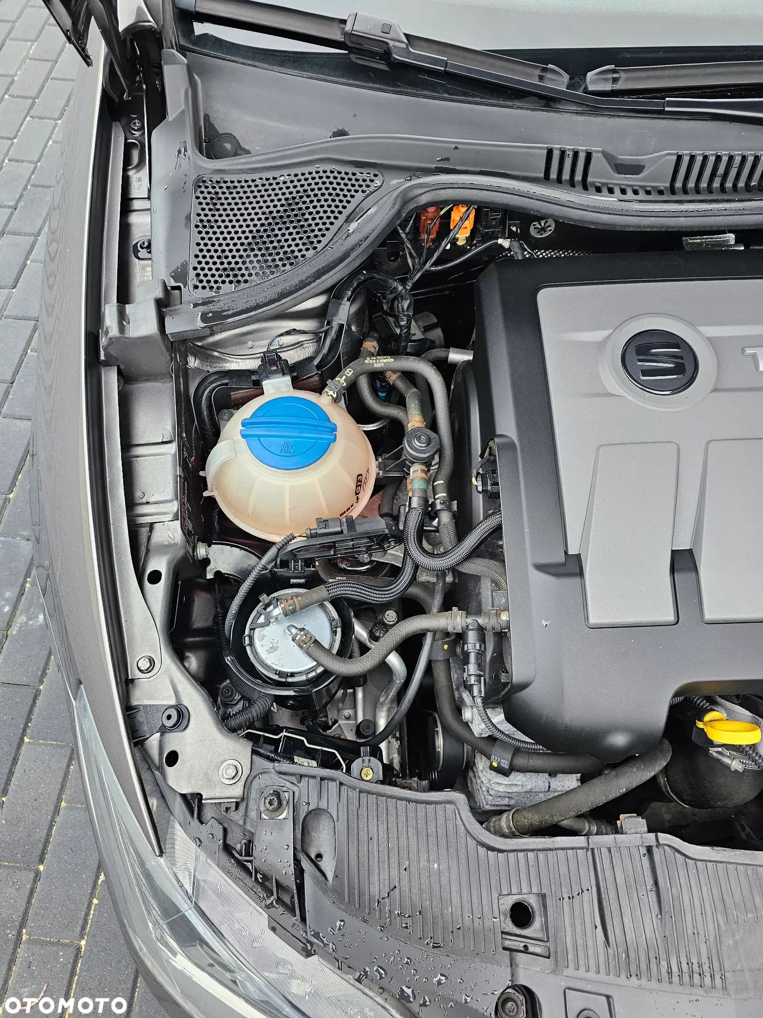 Seat Ibiza - 31