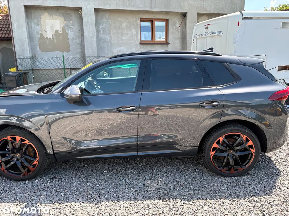 Cupra Terramar 1.5 eTSI DSG Tribe Edition - 15