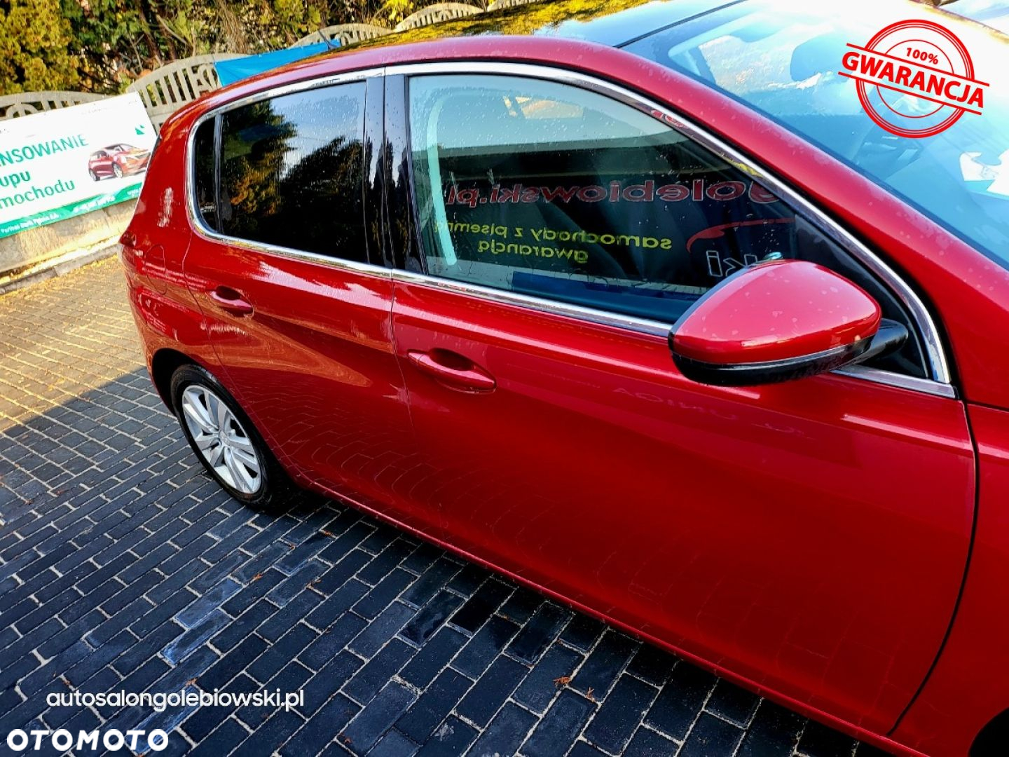 Peugeot 308 - 17