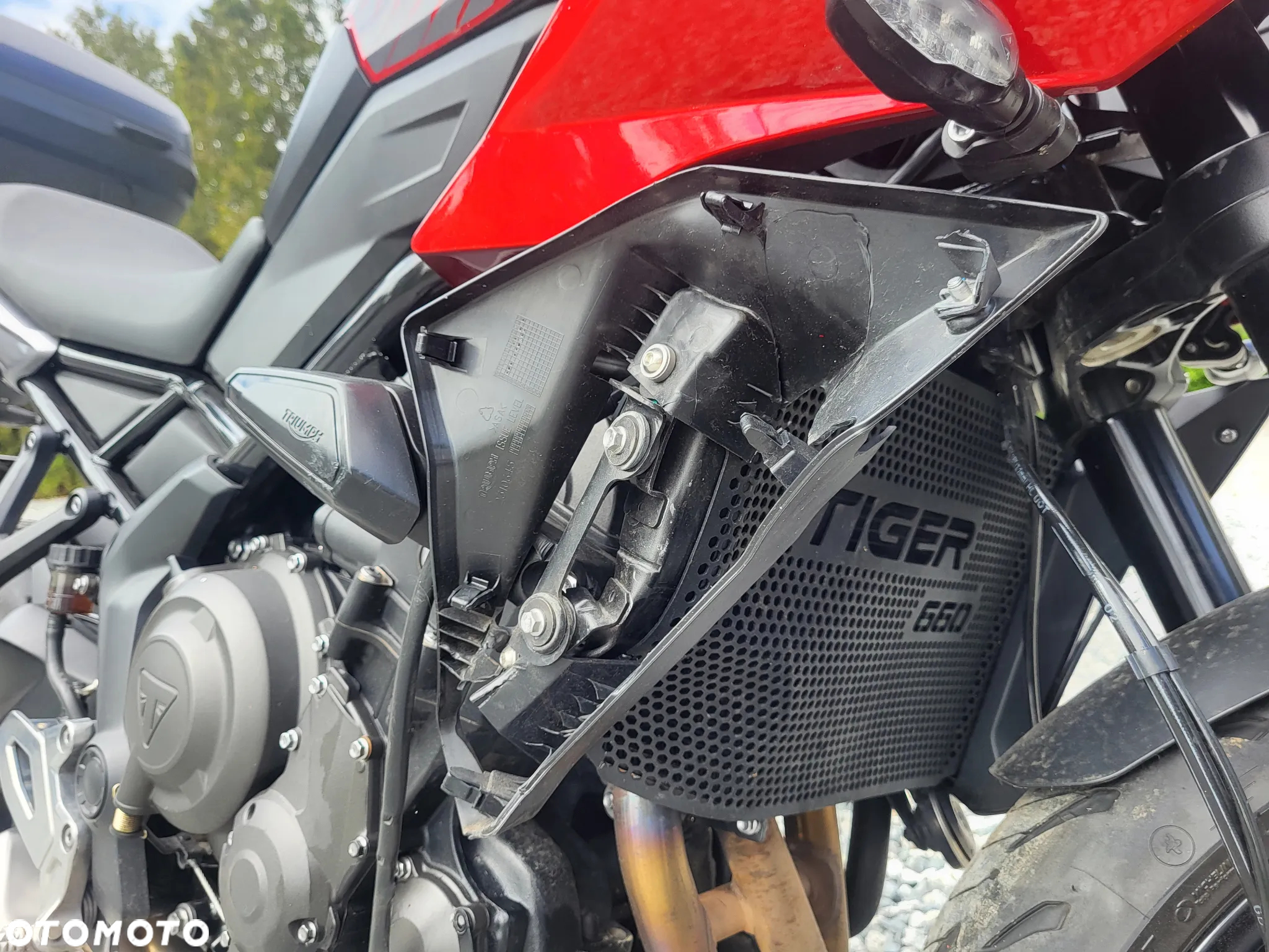 Triumph Tiger - 8