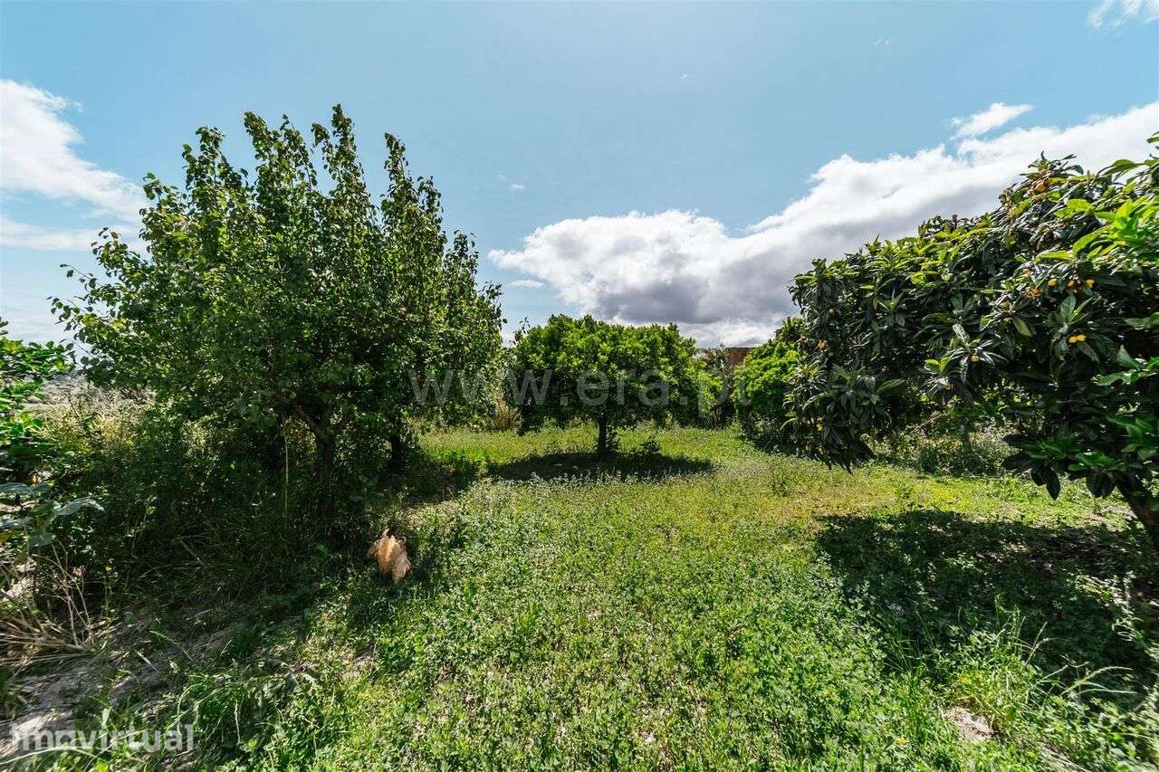 Lote / Fundão, Póvoa da Atalaia - Grande imagem: 4/7