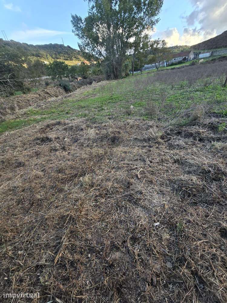 Terreno Rústico em Serradinho com Paisagem Deslumbrante - Grande imagem: 5/12