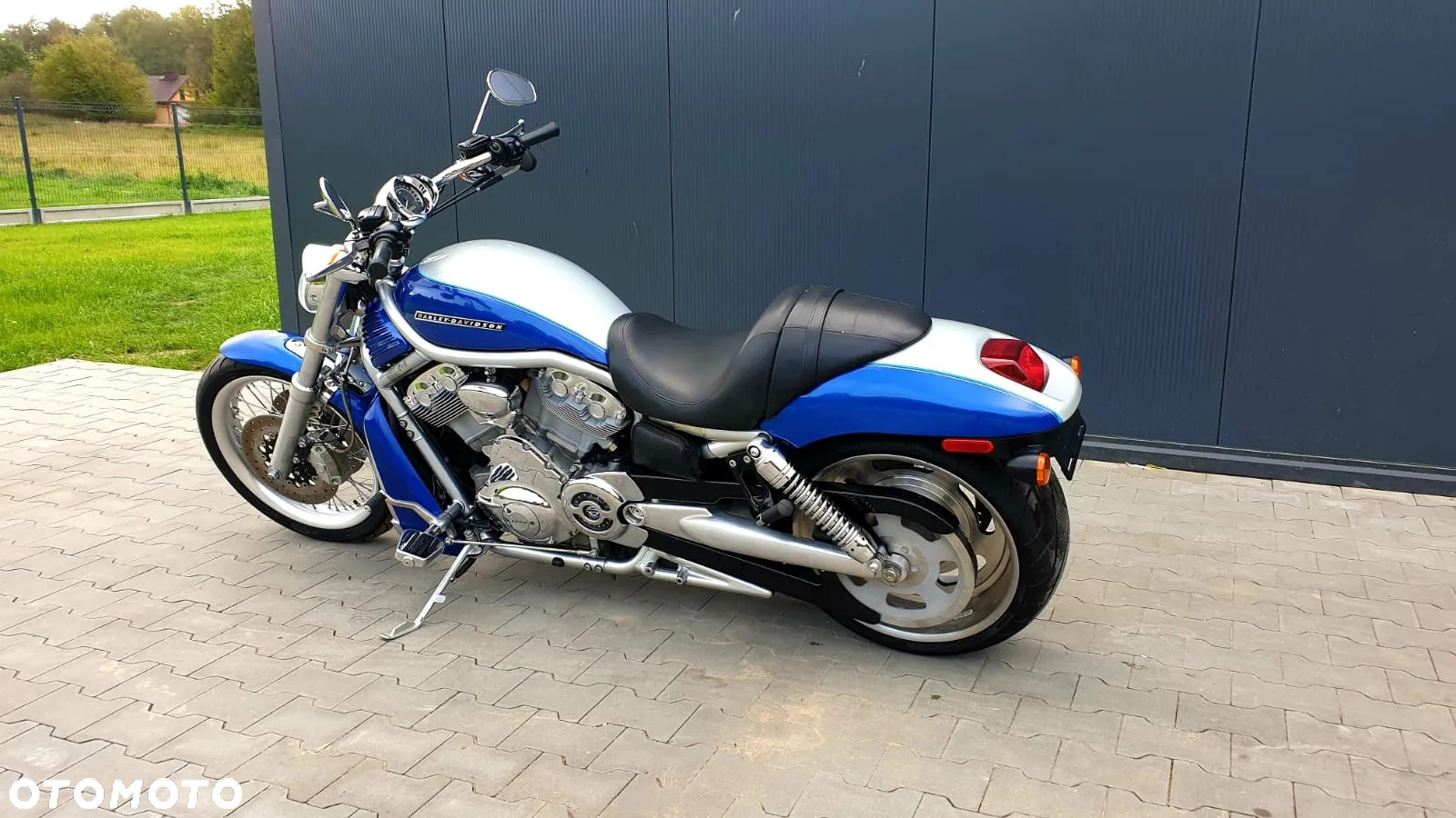 Harley-Davidson Softail V-Rod - 5
