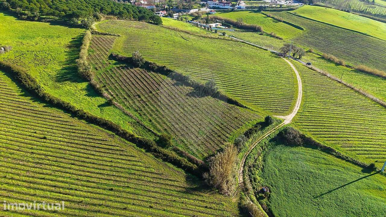 Terreno  para venda - Grande imagem: 2/12