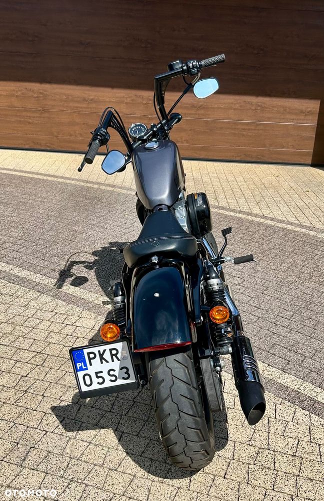 Harley-Davidson Evolution Sportster - 17