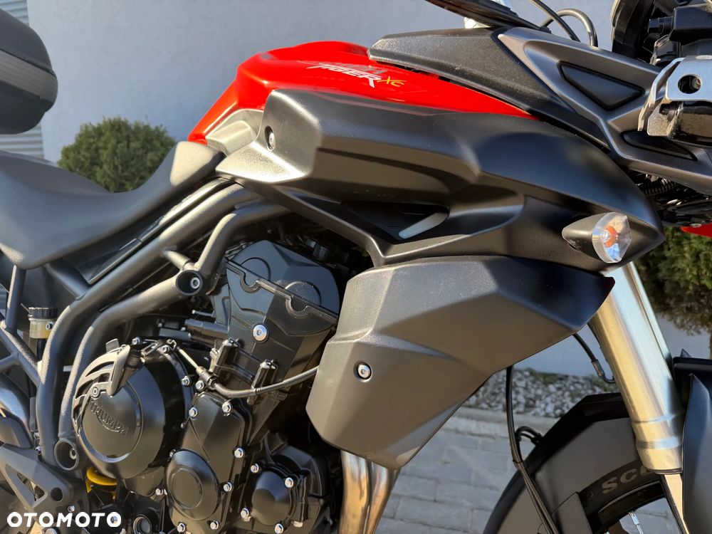 Triumph Tiger - 13