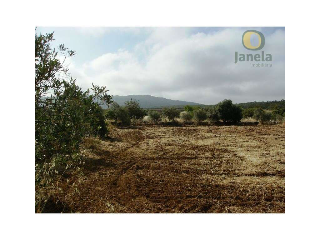 Terreno rústico com 5240 m2 bom para agricultura - Grande imagem: 3/5