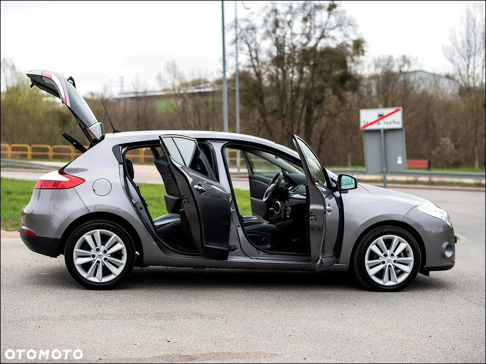 Renault Megane - 14