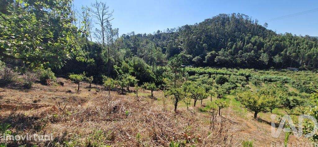 Terreno em Azueira e Sobral da Abelheira de 6250,00 m2 - Grande imagem: 3/28