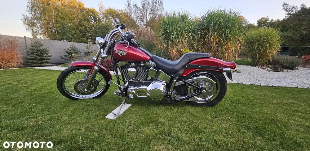 Harley-Davidson Softail - 1