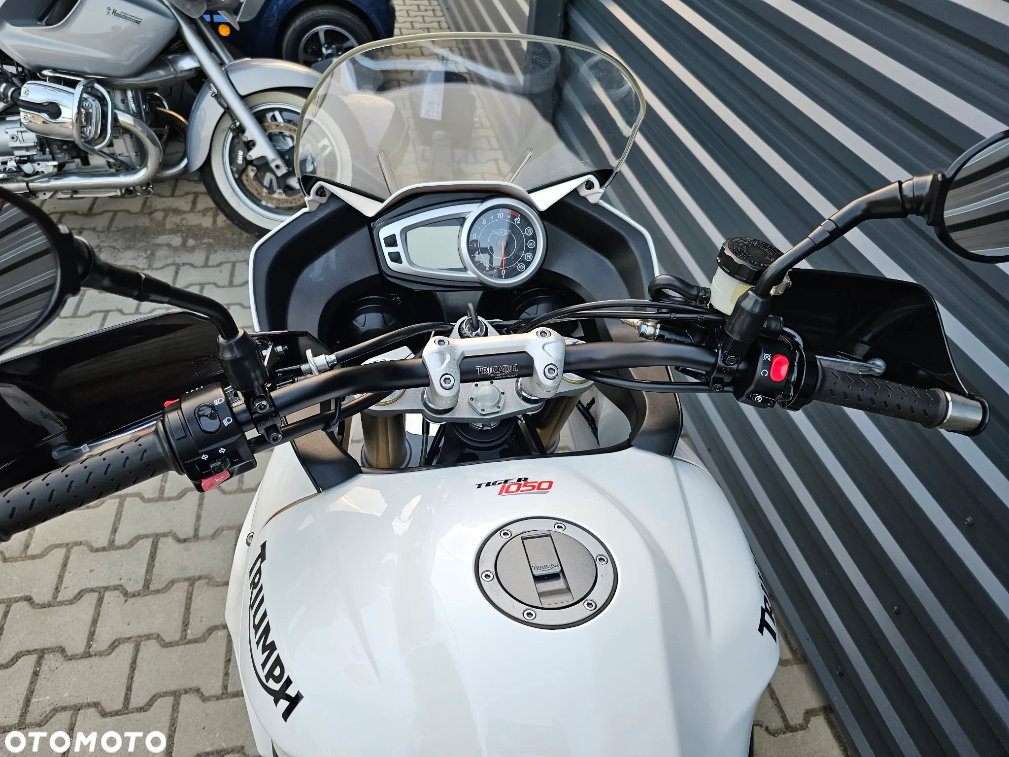 Triumph Tiger - 18