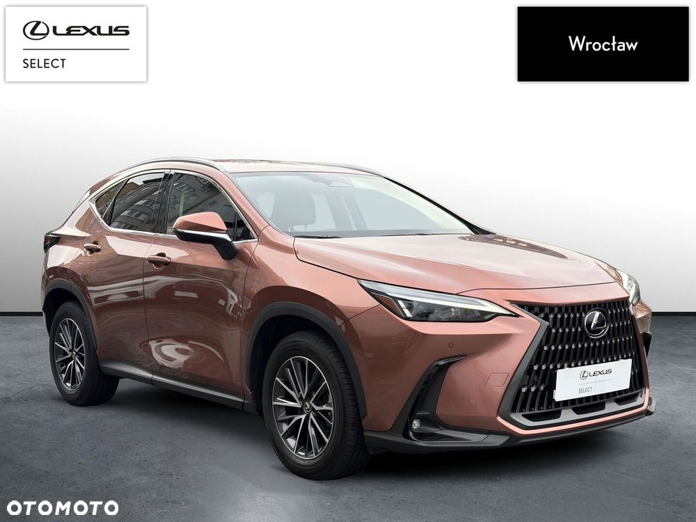 Lexus NX 350h Prestige 2WD - 7
