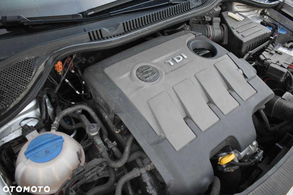 Seat Ibiza - 21