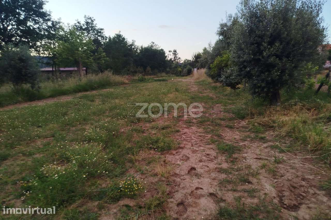 Terreno a 5 minutos do centro de Mangualde o seu Sonho - Grande imagem: 4/18