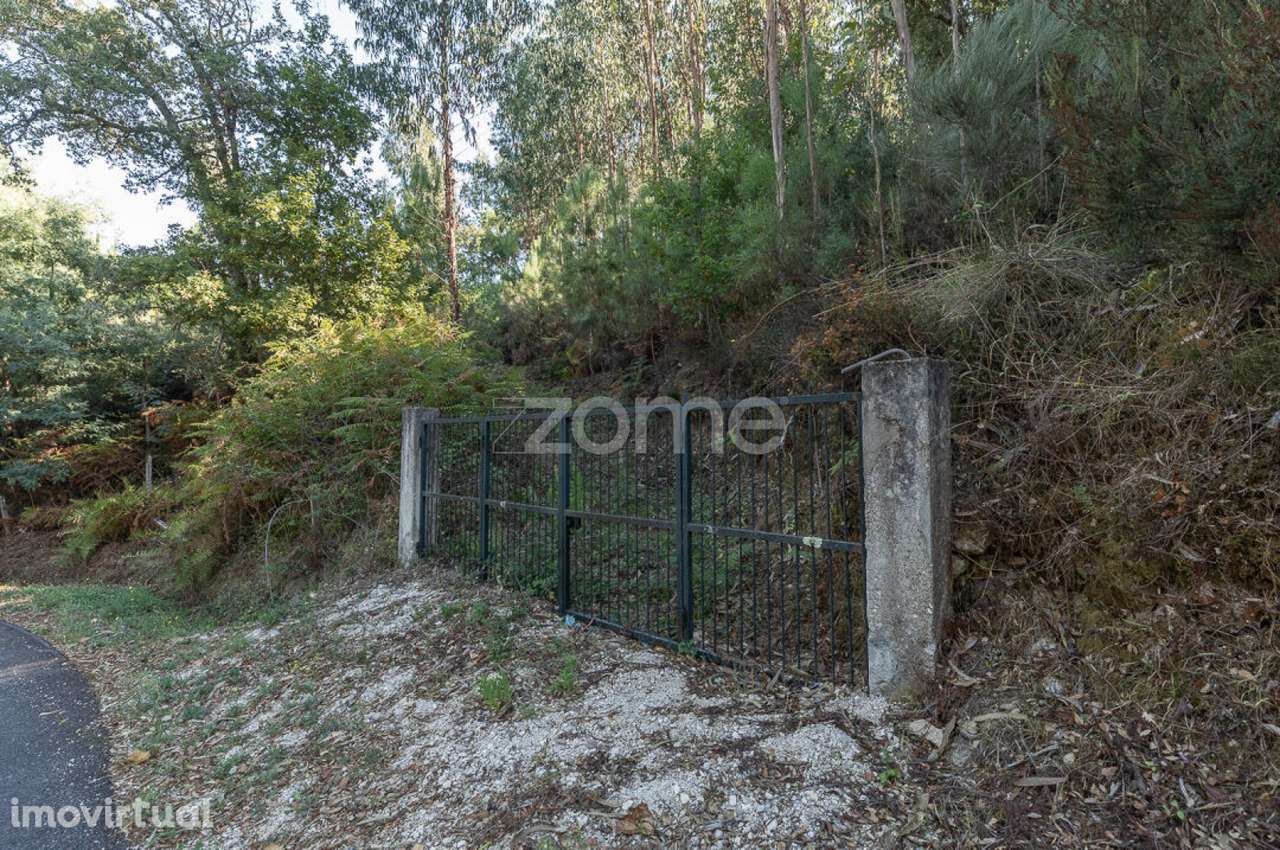 Terreno em Folques, Arganil - Grande imagem: 4/21