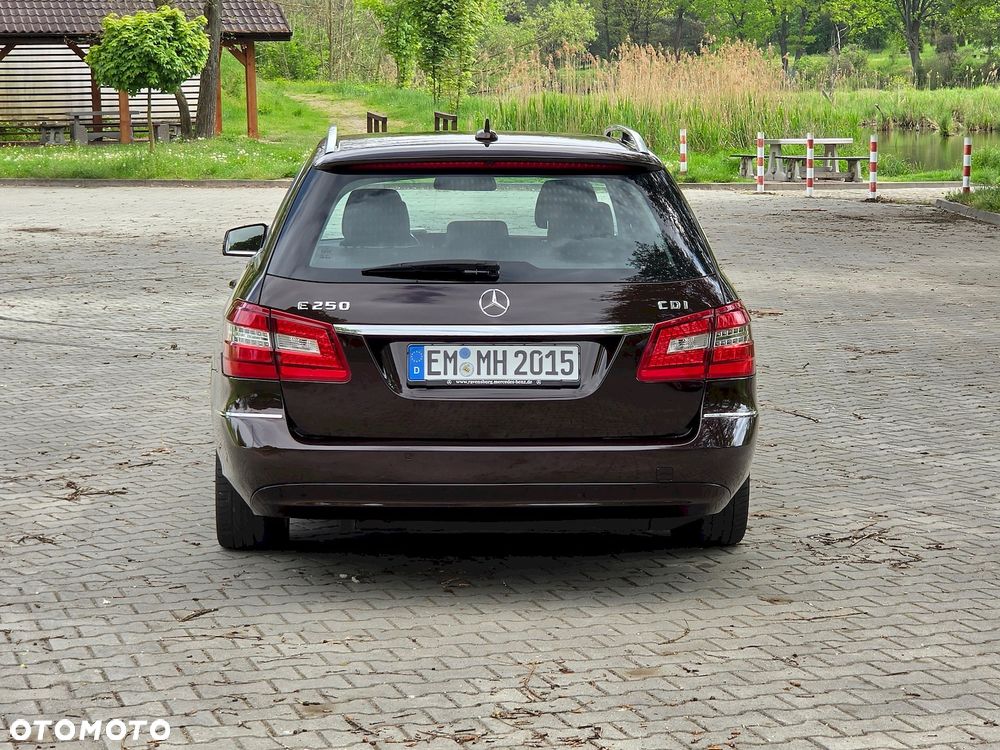 Mercedes-Benz Klasa E 250 CDI DPF BlueEFFICIENCY Avantgarde - 7