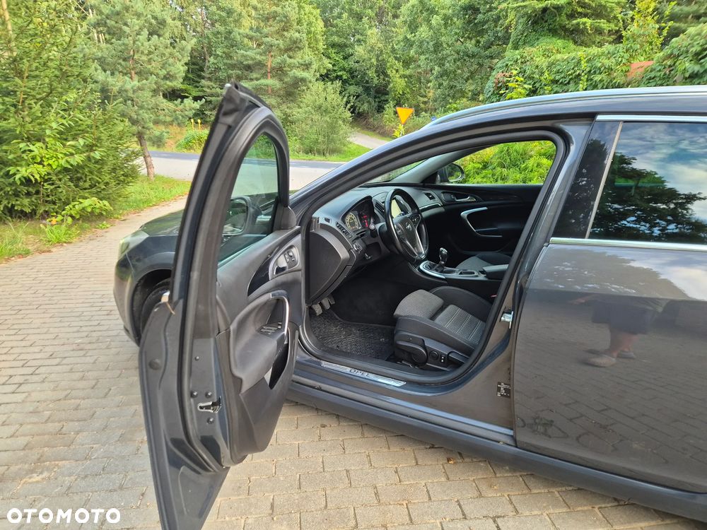 Opel Insignia 2.0 CDTI Executive S&S - 19