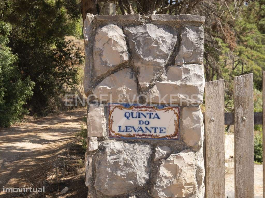 Propriedade Exclusiva na Reserva Natural da Serra da Arrábida - Grande imagem: 2/27