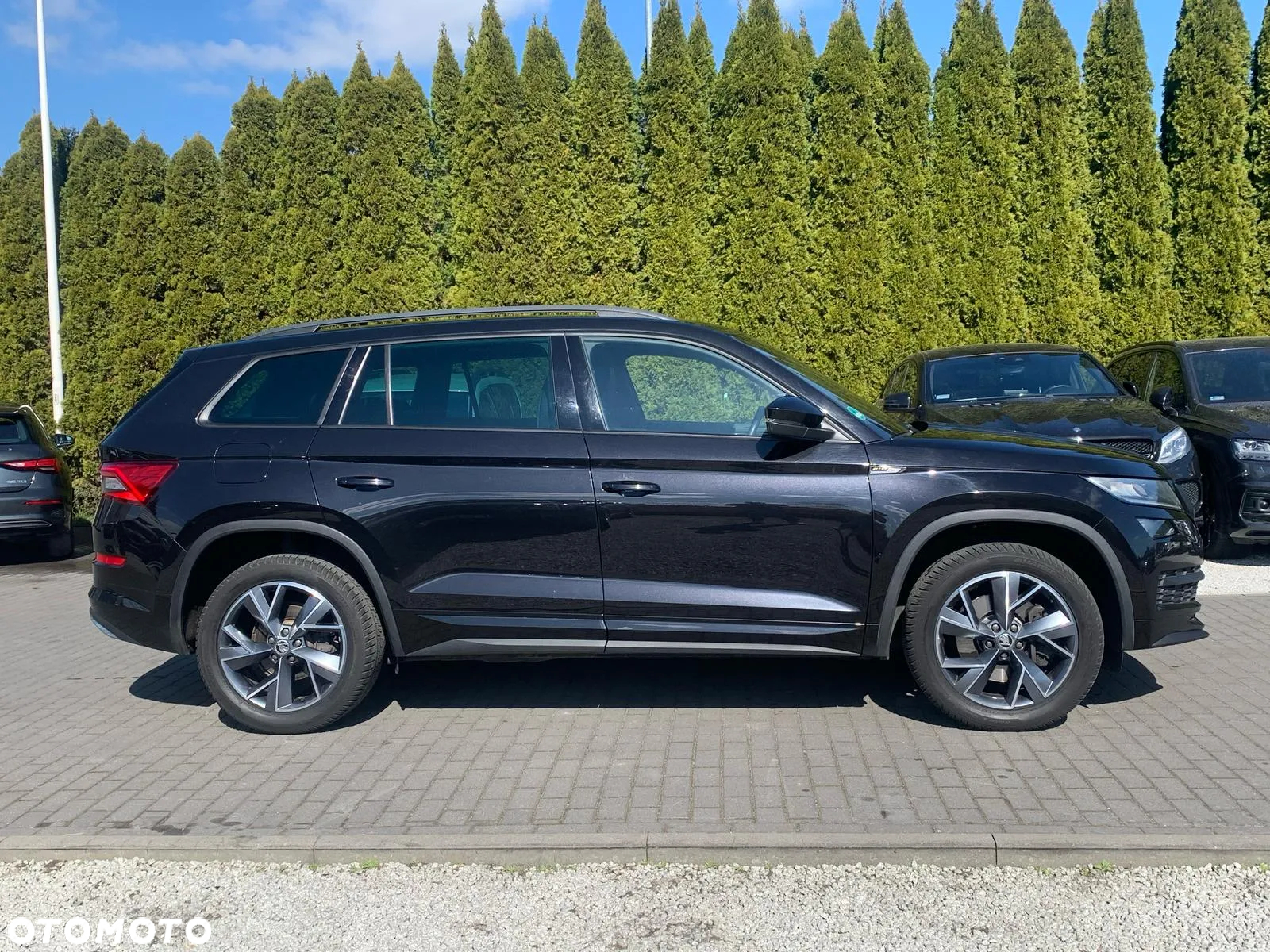 Skoda Kodiaq 2.0 TSI 4x4 Sportline DSG - 6