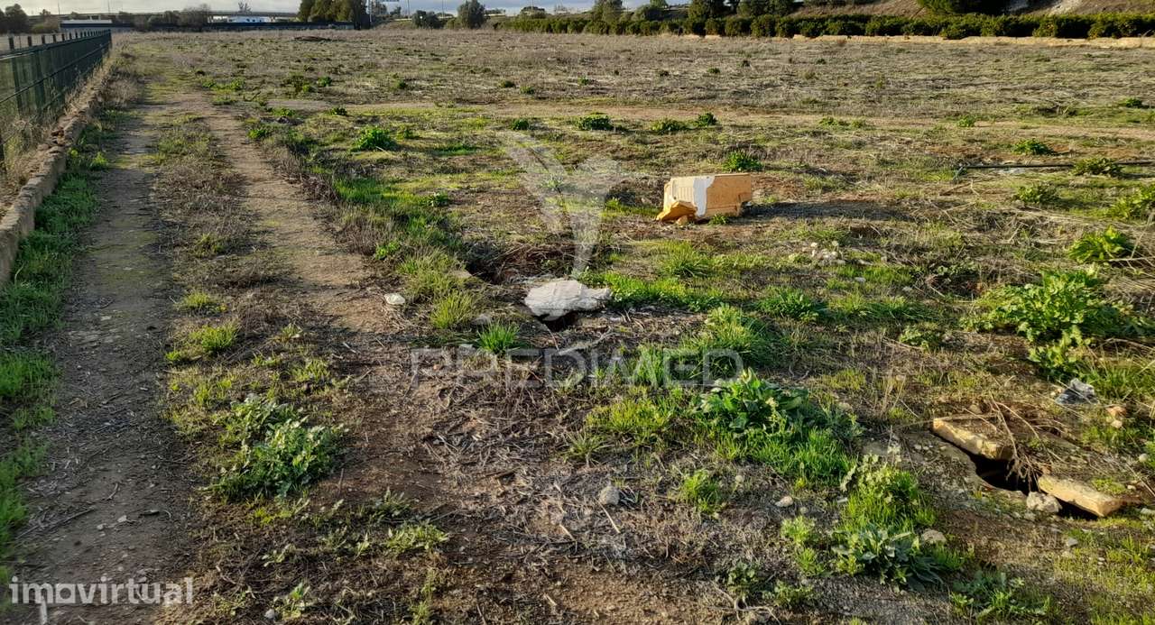 Dois terrenos rusticos com área 11400m2  na saida de Faro - Grande imagem: 2/7