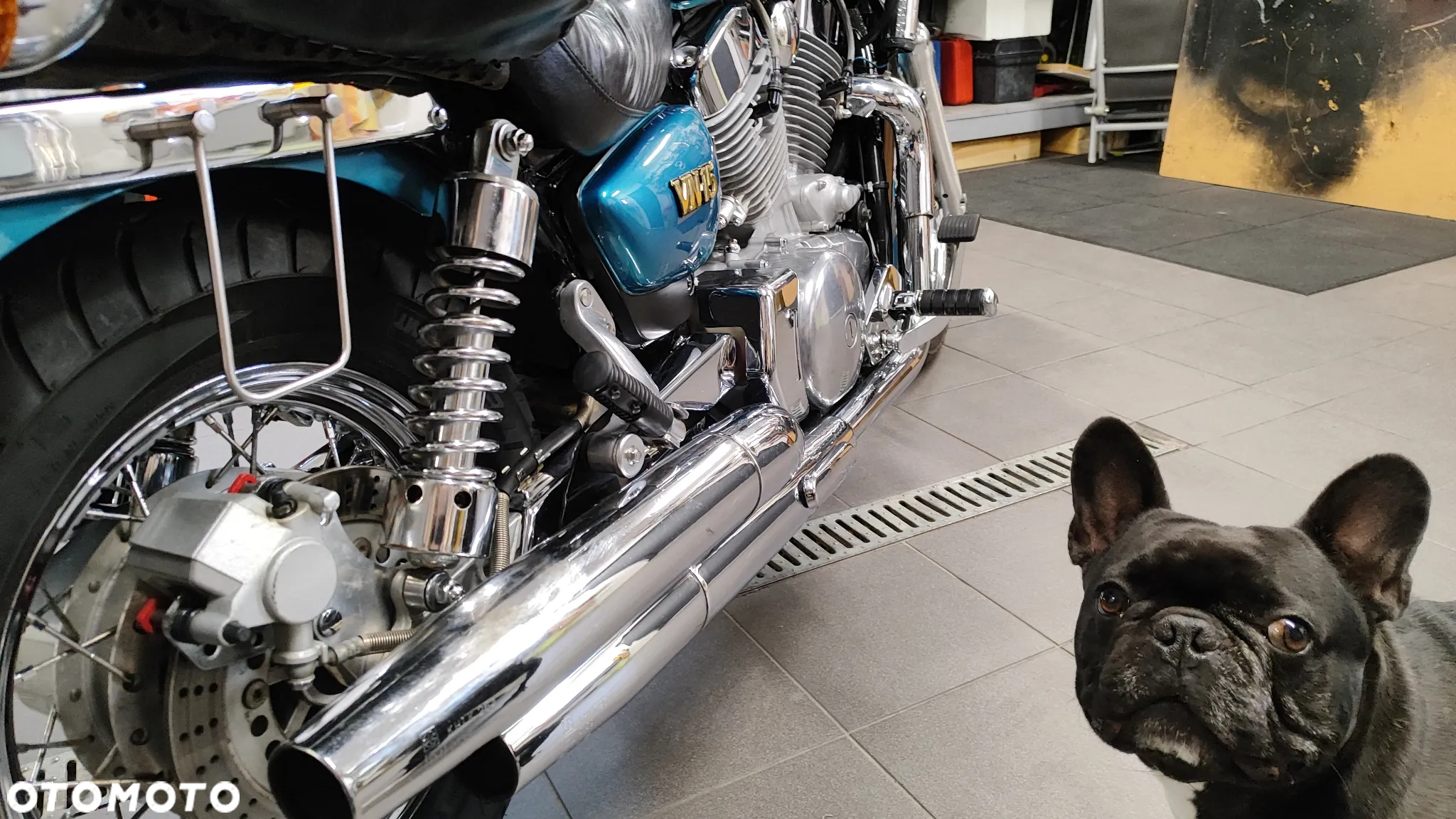 Kawasaki Vulcan - 20