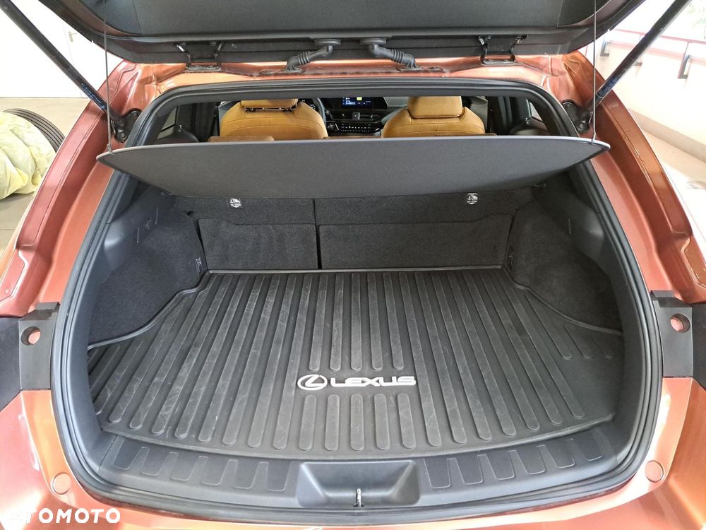 Lexus UX 300h Business - 9