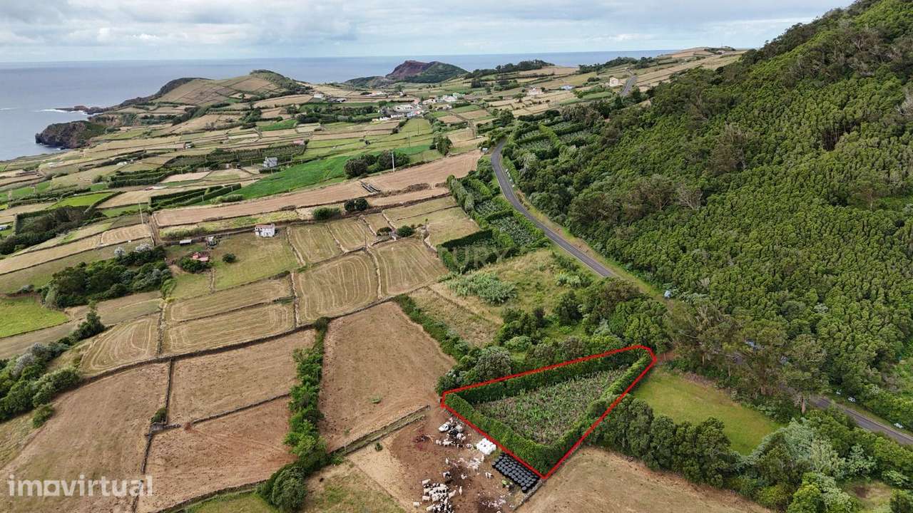Terreno com Pomar em Vila de São Sebastião - Grande imagem: 2/9