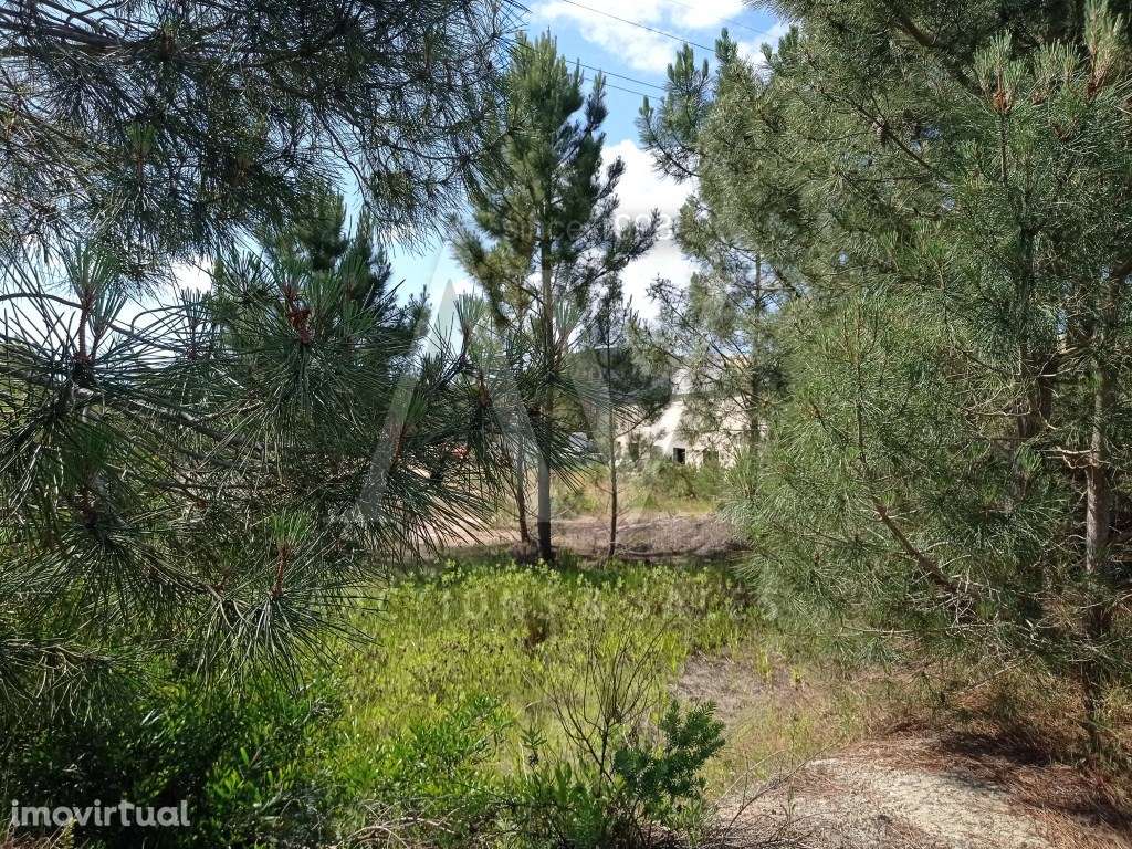 Terreno para construção - SESIMBRA |LEILÃO ELETRÓNICO| FIM 25*MAI - Grande imagem: 2/24