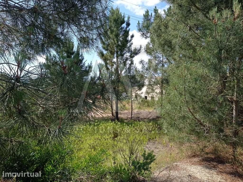 Terreno para construção - SESIMBRA |LEILÃO ELETRÓNICO| FIM 25*MAI - Grande imagem: 2/24