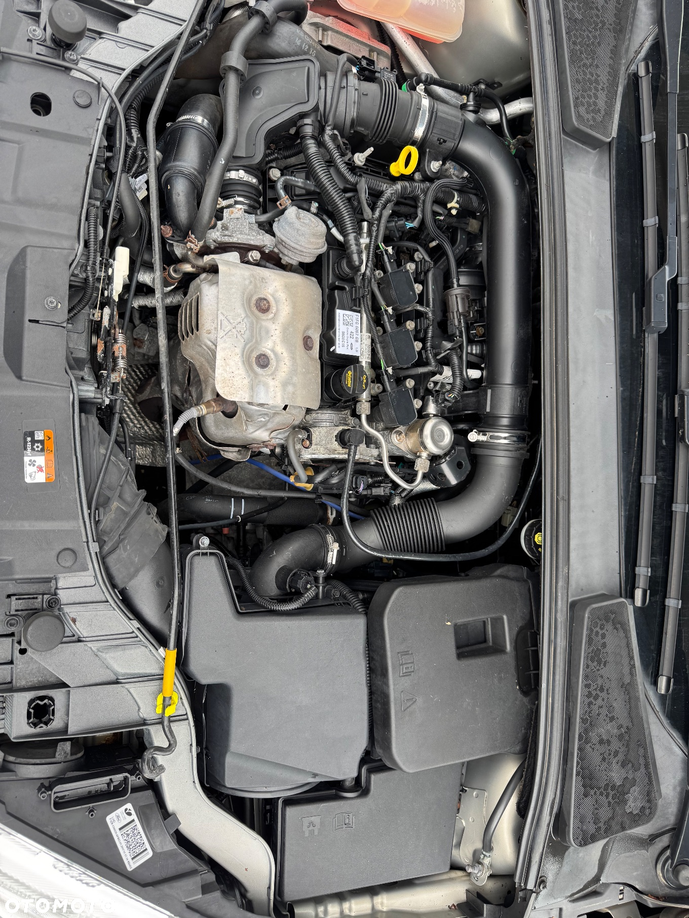 Ford Focus 1.0 EcoBoost Titanium ASS - 21