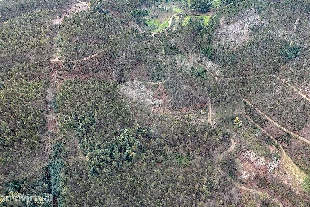 Terreno  para venda - Grande imagem: 2/5
