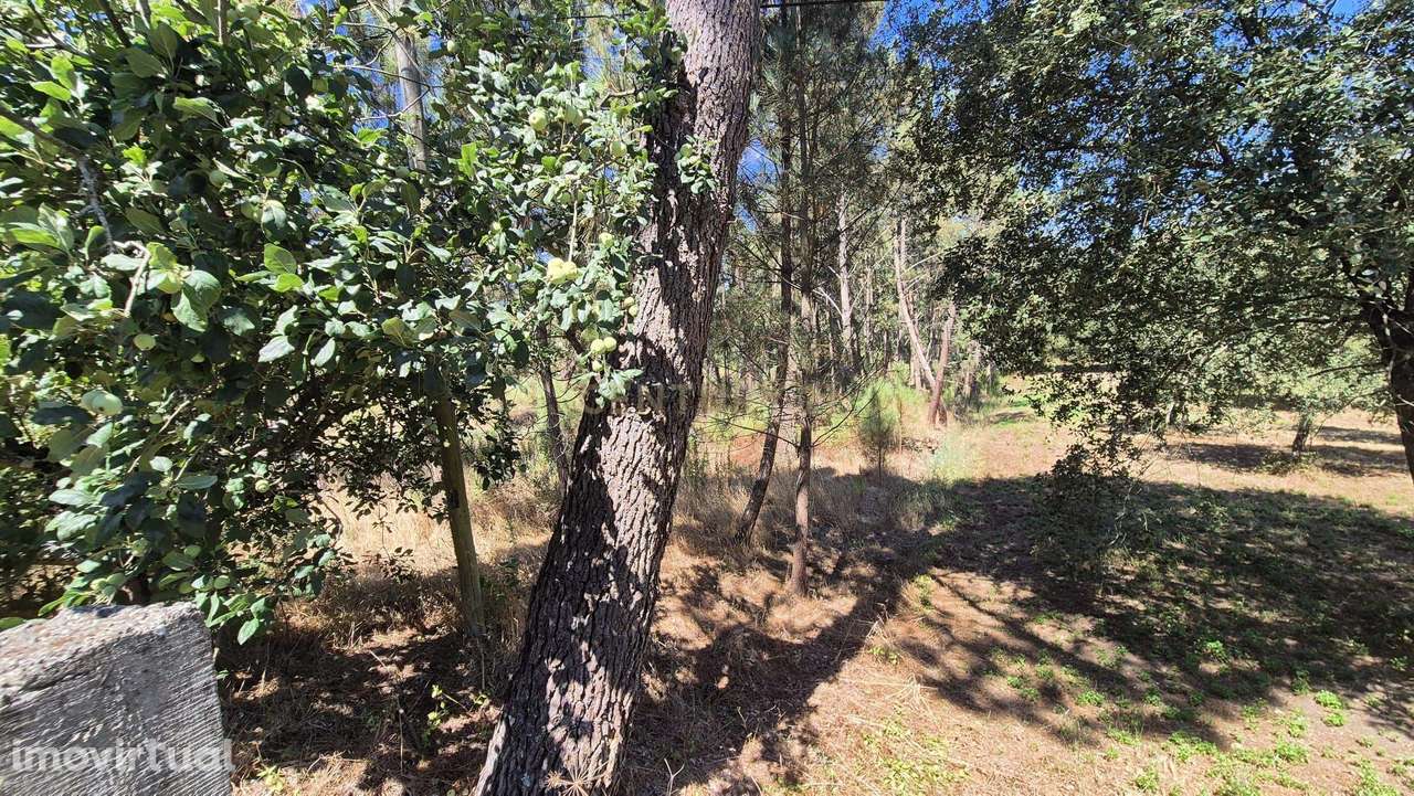 Terreno para Construção em Pombal, Leiria - Oportunidade Única! - Grande imagem: 5/29