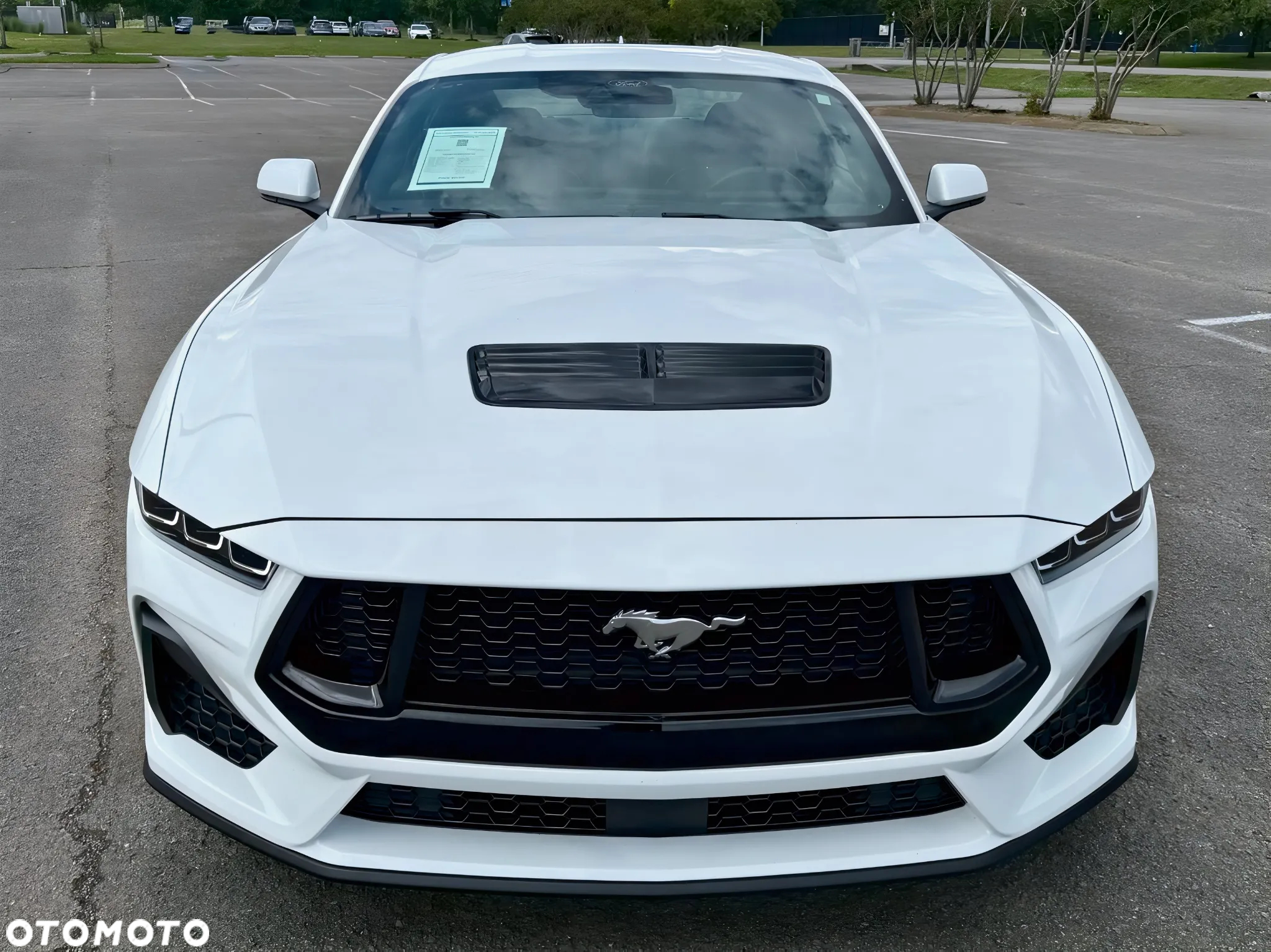 Ford Mustang 5.0 V8 GT - 2