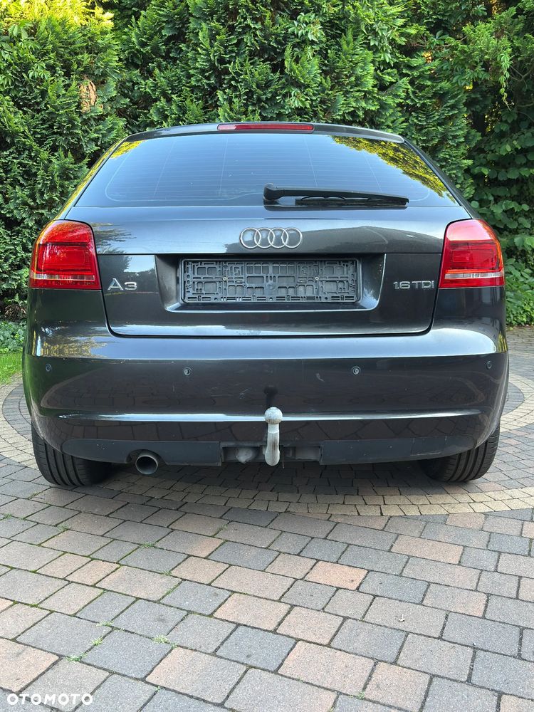 Audi A3 3-drzwiowe 1.6 TDI DPF Attraction - 9