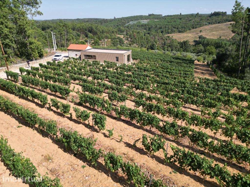 Quinta T0 Venda em Antas e Matela,Penalva do Castelo - Grande imagem: 4/9