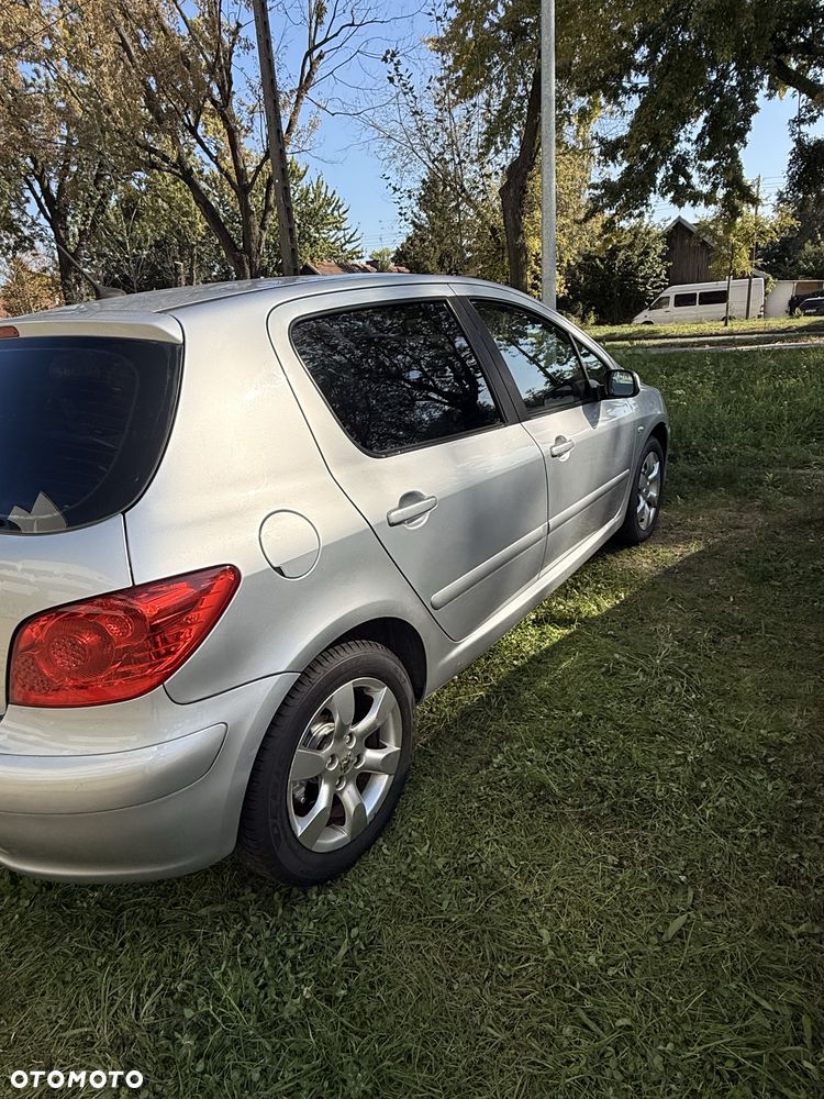 Peugeot 307 - 8
