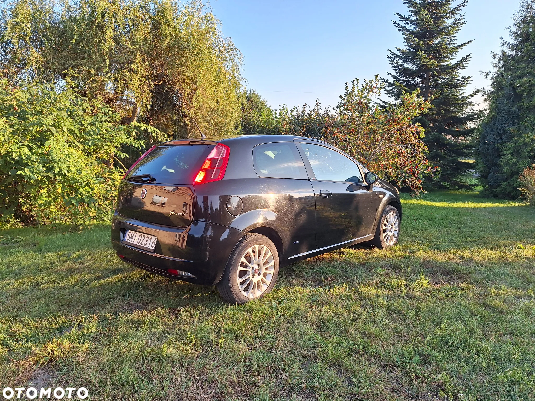 Fiat Punto - 2