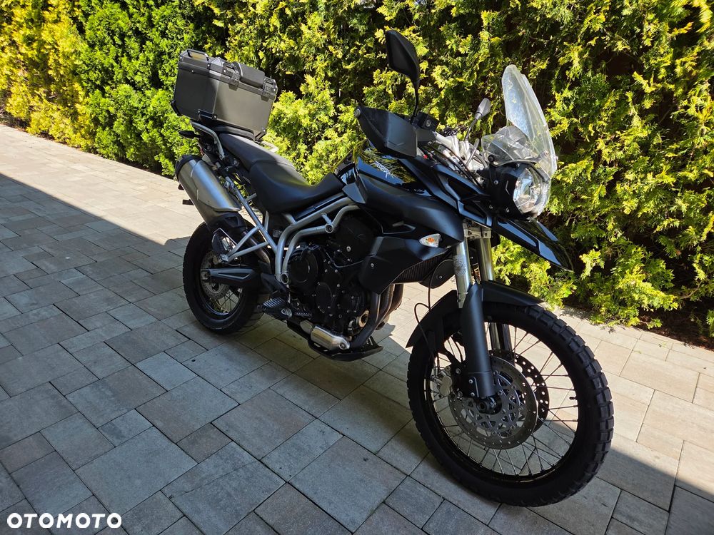 Triumph Tiger - 1