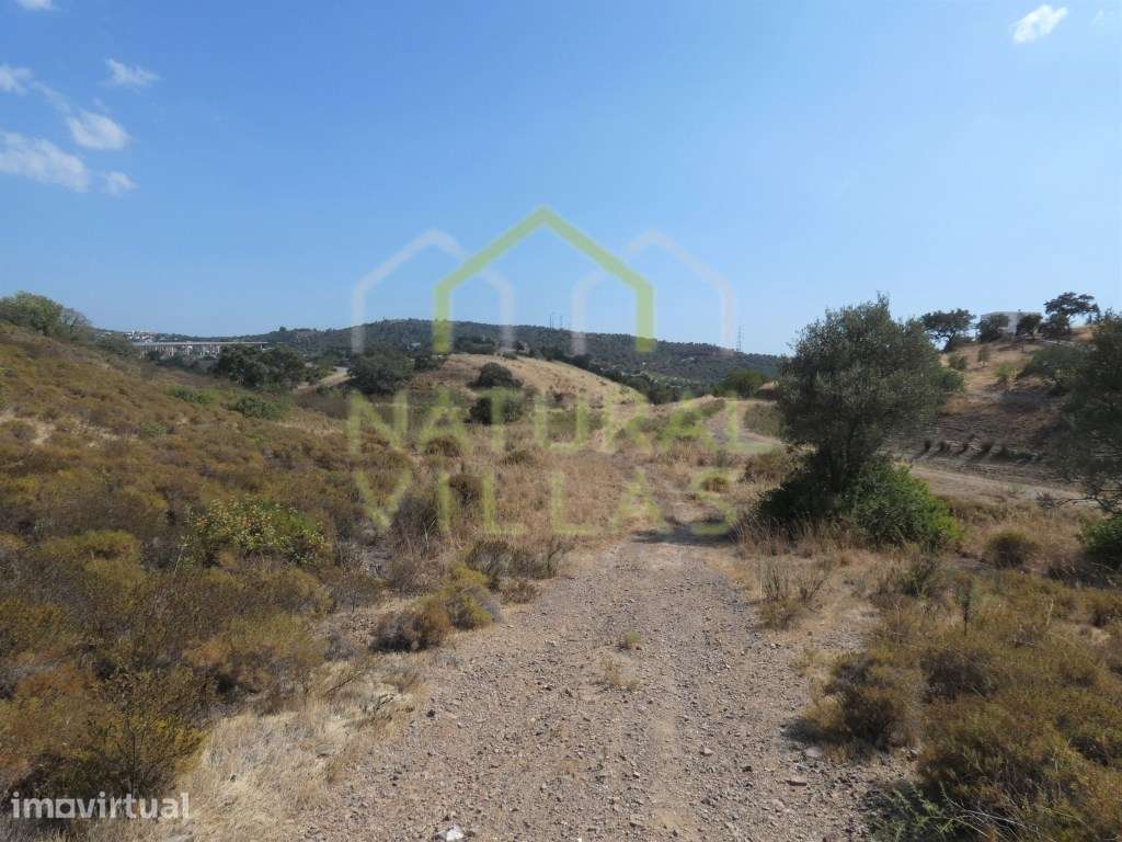 2,2 Hectares: Ruína com terreno em São Bartolomeu de Messines - Grande imagem: 2/5