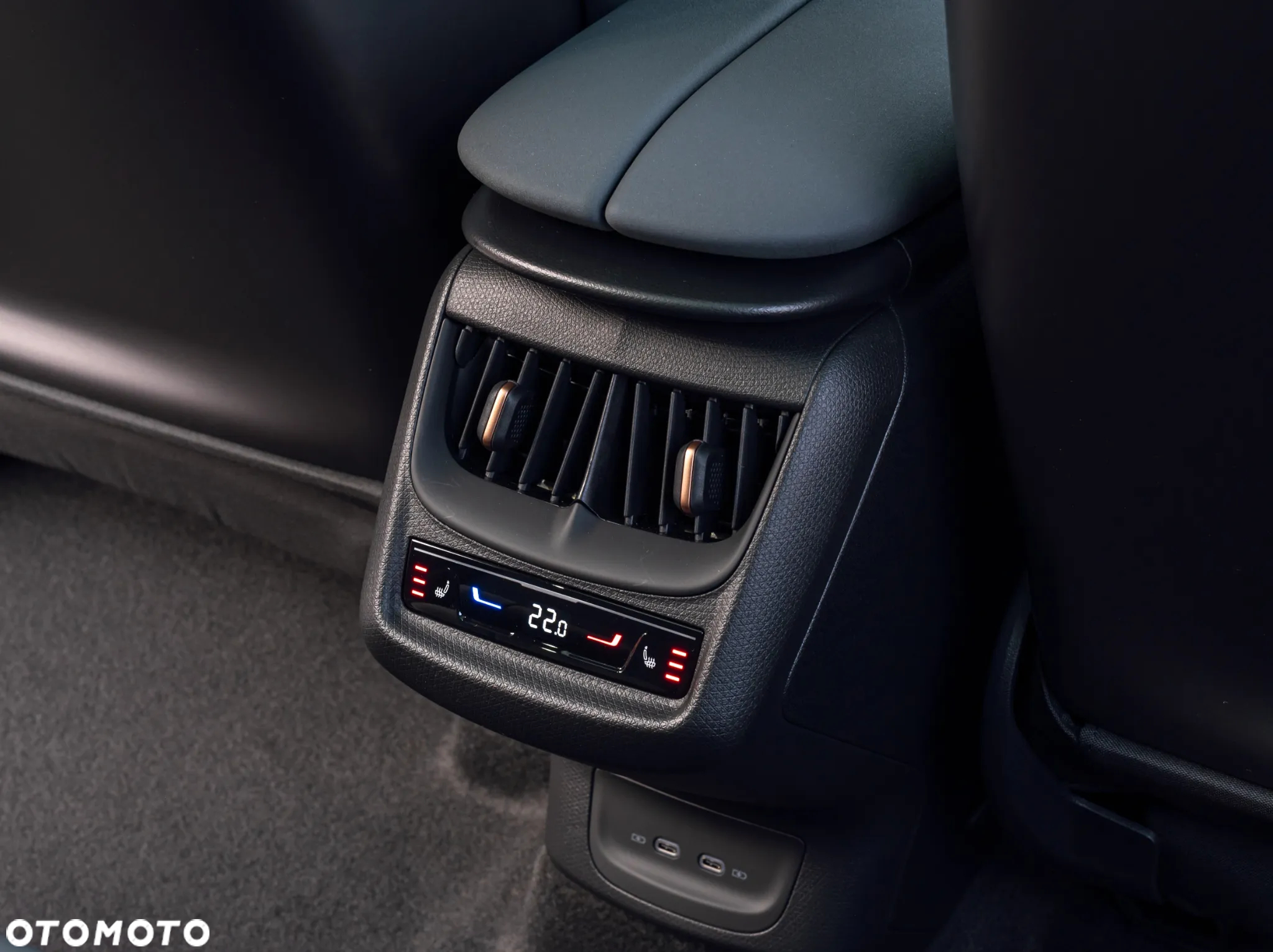 Cupra Tavascan - 11