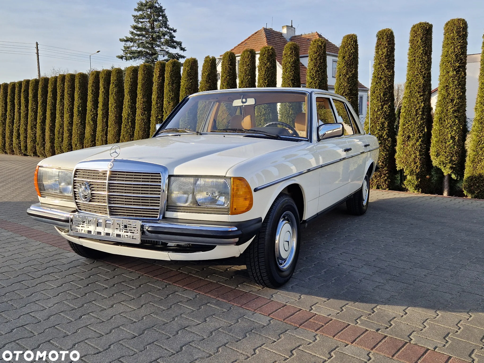 Mercedes-Benz W123 - 2