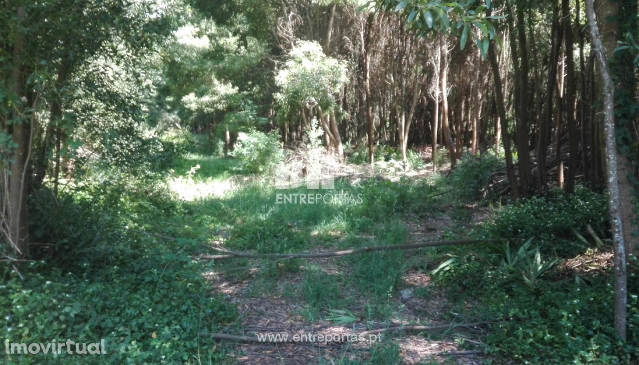 Terreno para venda, Cristelo, Caminha - Grande imagem: 2/5