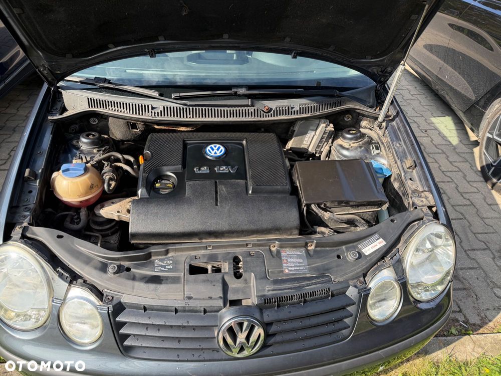 Volkswagen Polo - 7