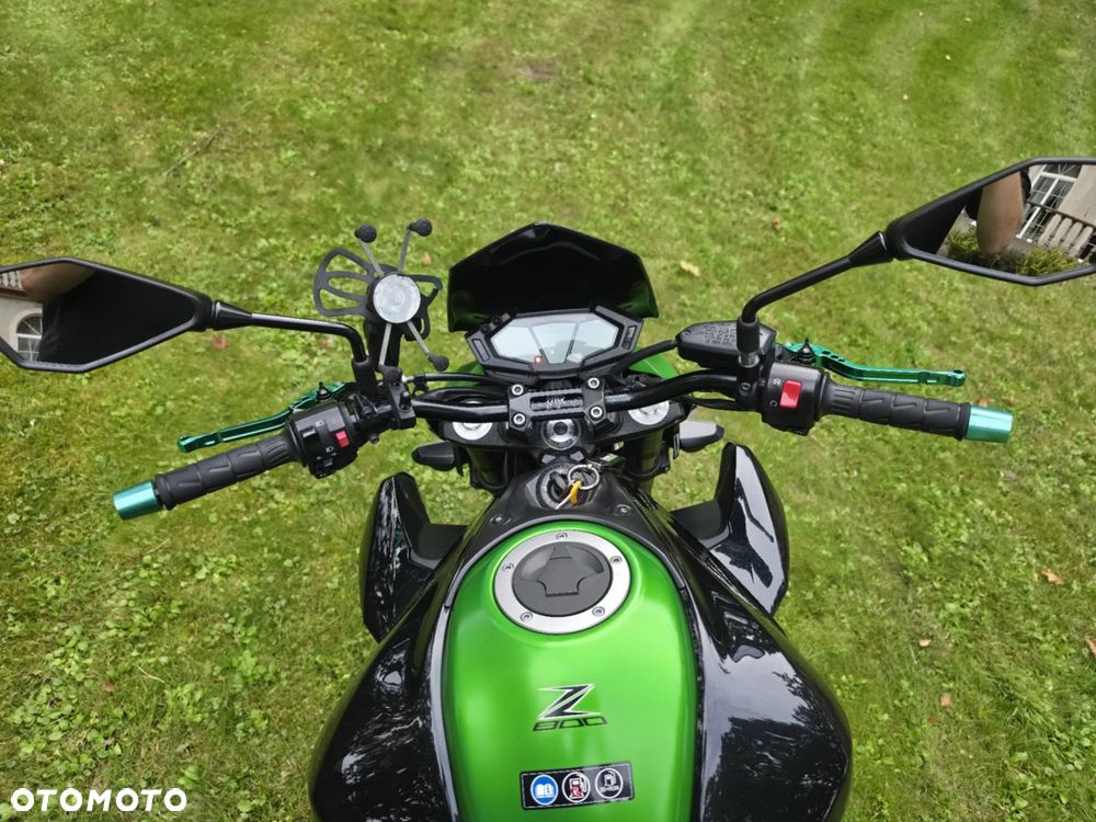 Kawasaki Z - 10