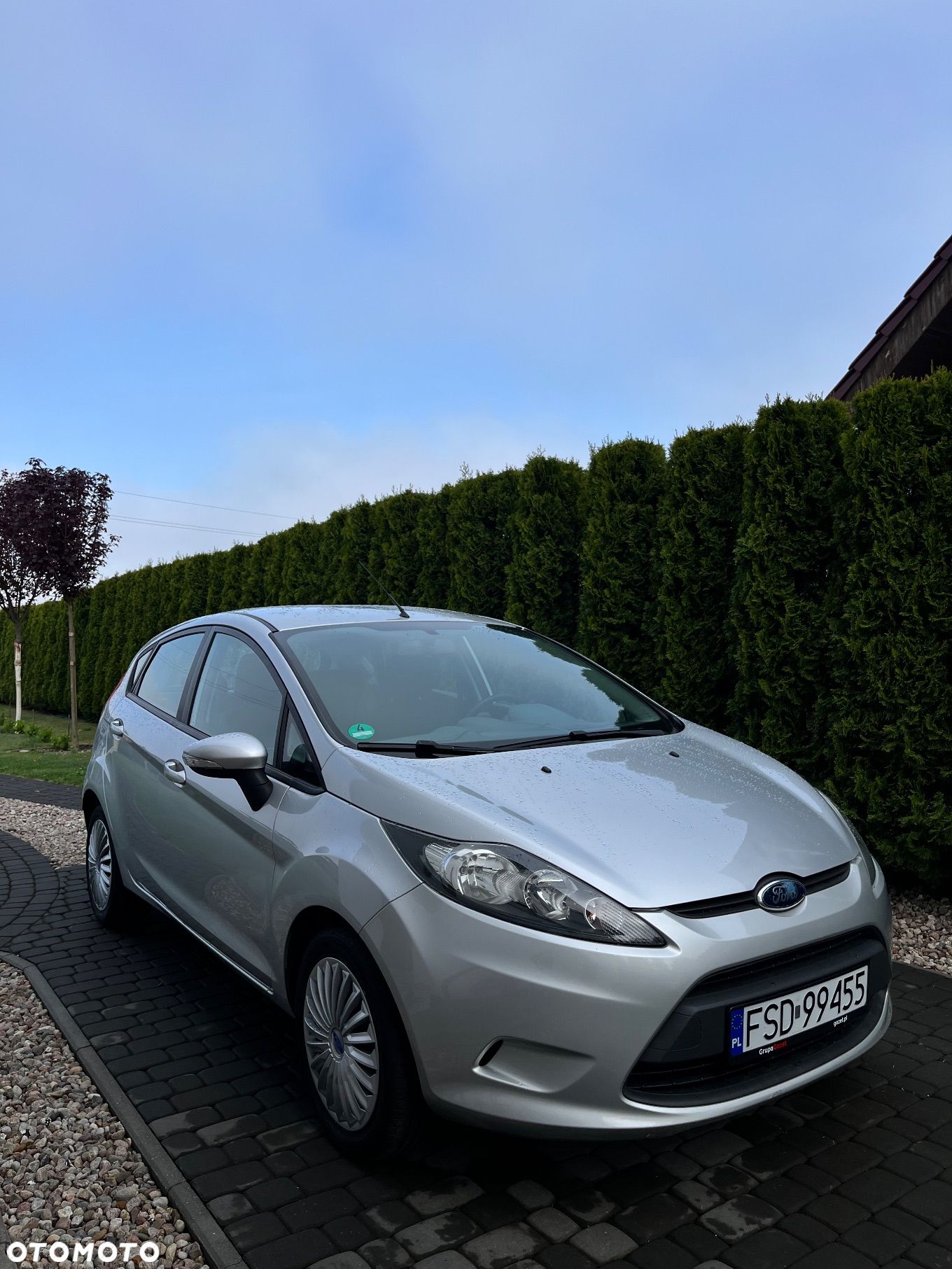 Ford Fiesta - 1