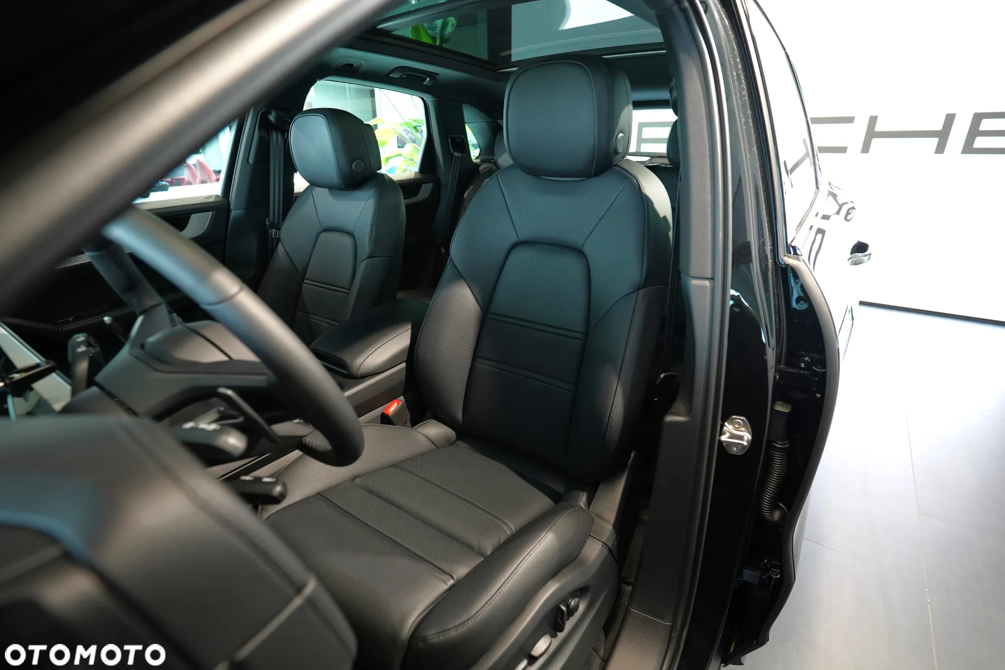 Porsche Cayenne E-Hybrid PHEV - 9
