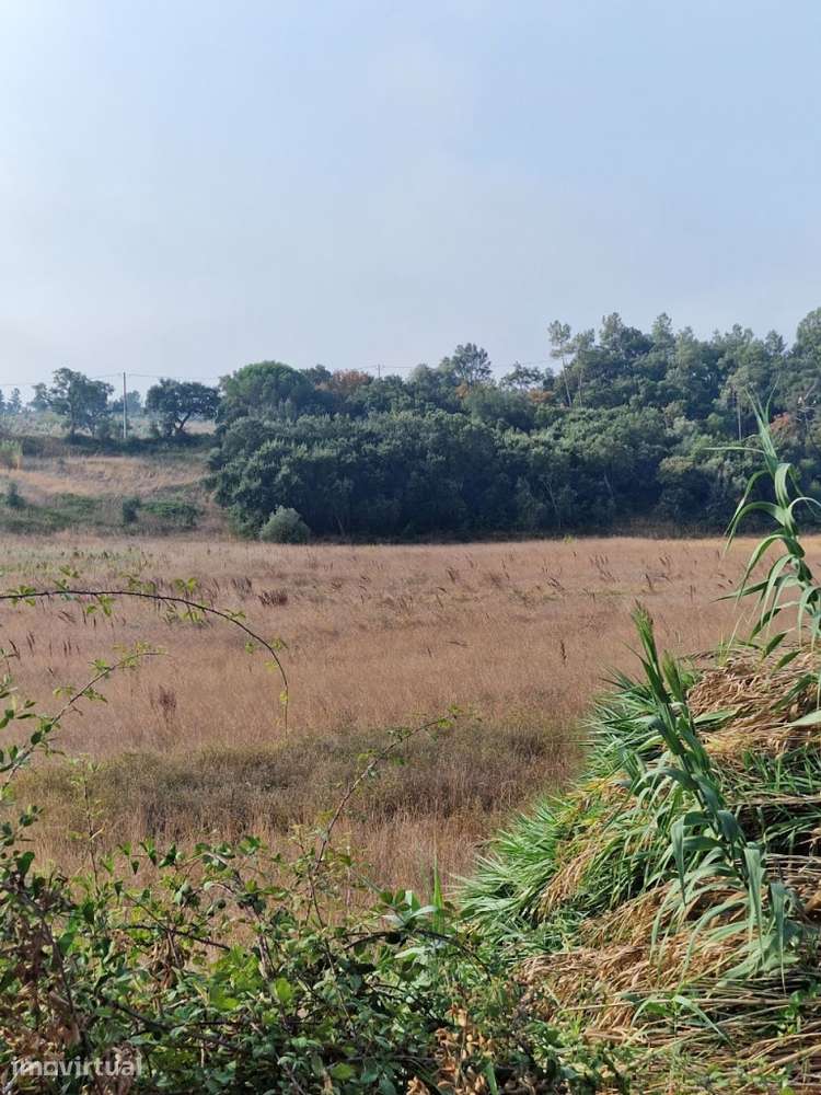 Terrenos Agricolas em Ribeira de São João - Rio Maior, 8440m² - Grande imagem: 3/3