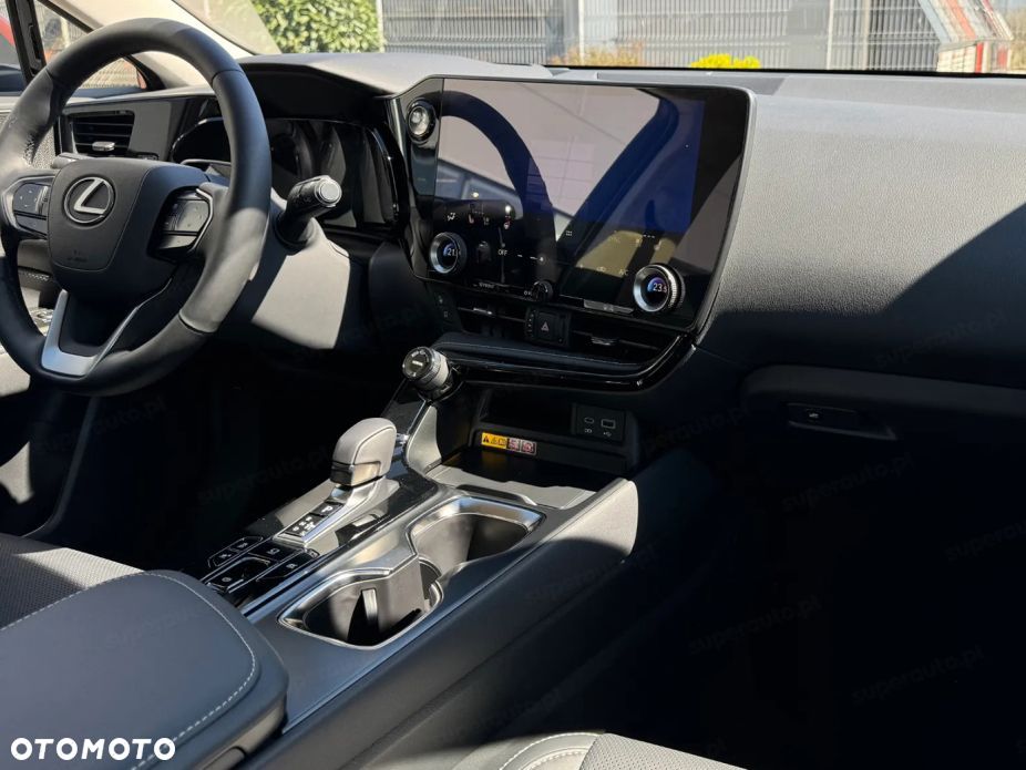 Lexus NX - 13