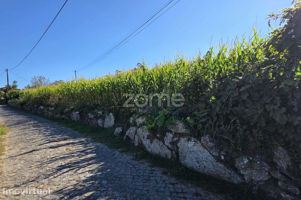 Terreno Agrícola em Sequeade, Barcelos - Grande imagem: 5/6